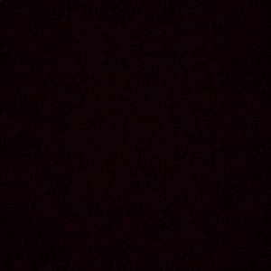 Meet your Posher, Nikola